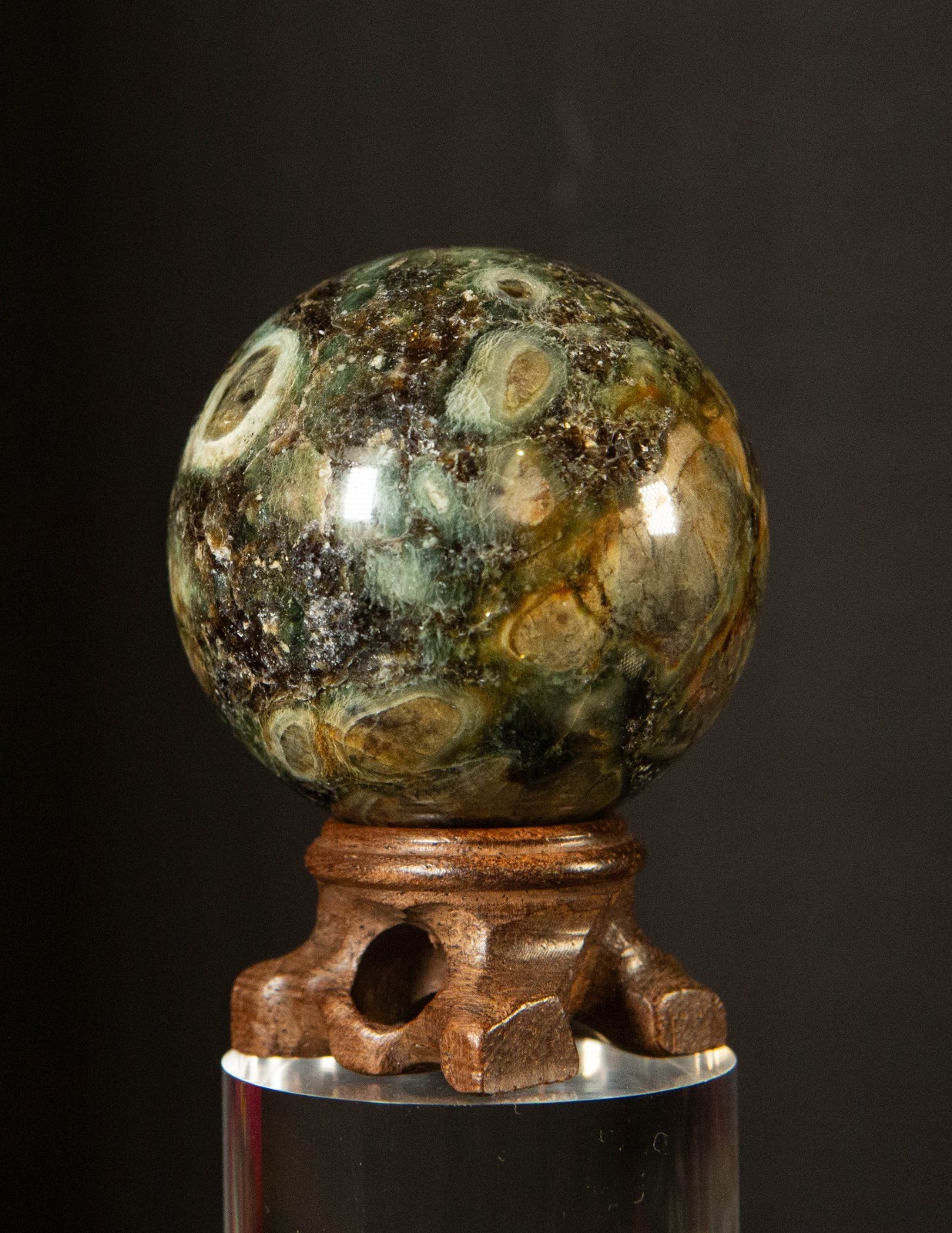 Kambaba Jasper Sphere 2.25” Crystal Ball With Wood Stand Madagascar Crocodile