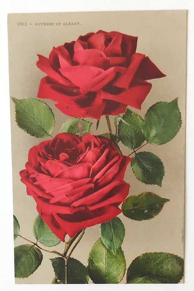 1910s Postcard REV EARLE D SIMS MISSIONARY EVANGELIST REVIVAL PACIFIC GROVE CA