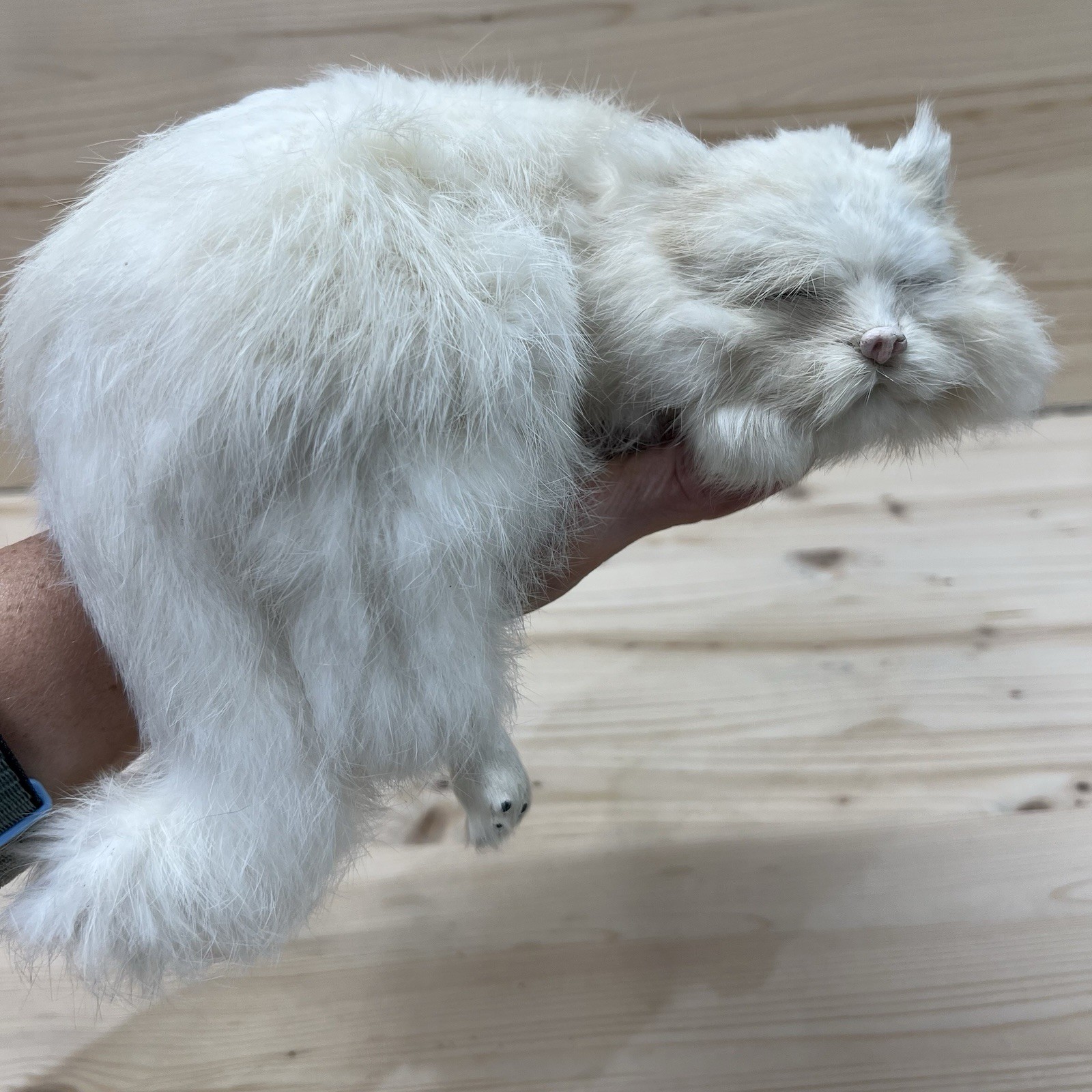 Realistic Cat Shelf Sitter Sleeping Real Rabbit Fur 9\
