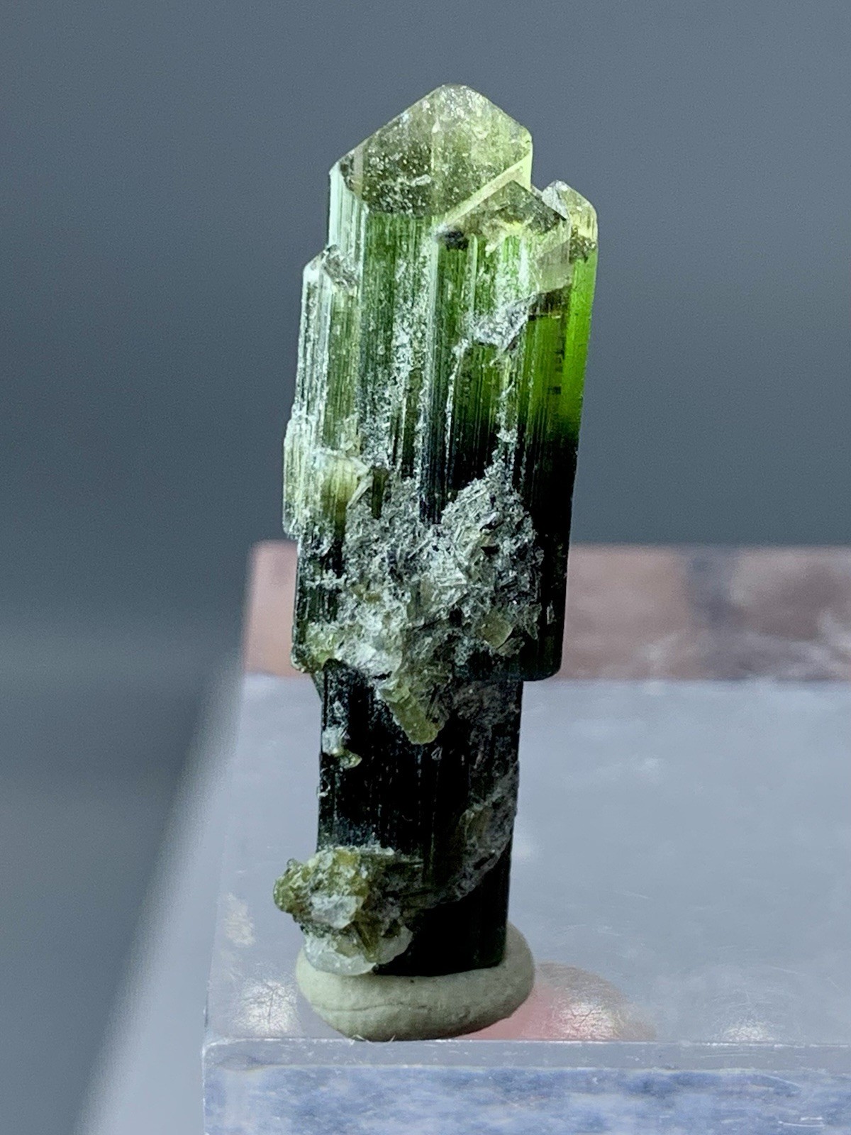 Natural Tri Colour Tourmaline Scepter Shape Crystal From Staknala Pakistan 22+CT Natural Tri Colour Tourmaline Scepter Shape Crystal From Staknala Pakistan 22+CT