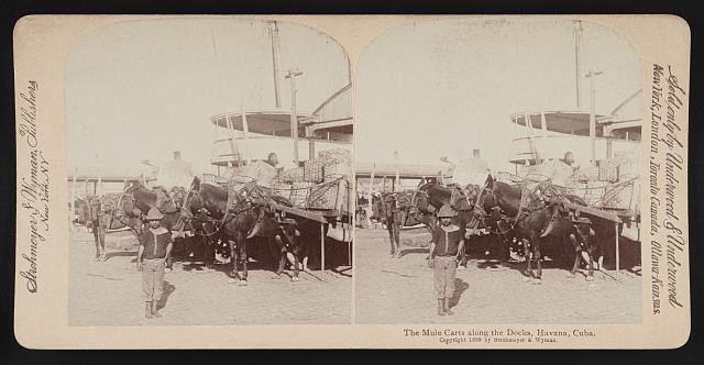 Photo:The mule carts along the docks, Havana, Cuba