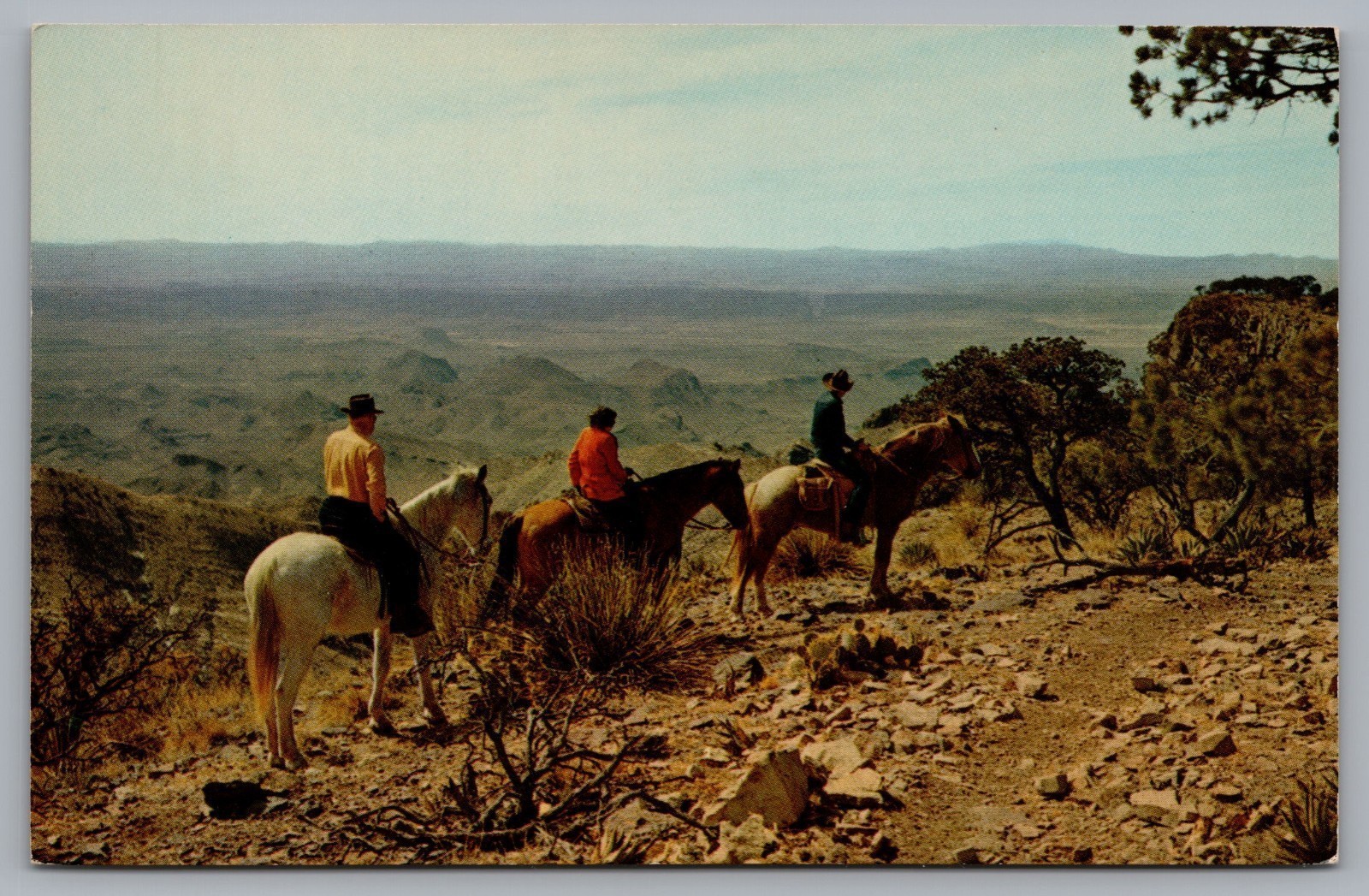 Horseback Riding Tour, Big Bend National Park, TX.   Postcard TS-149