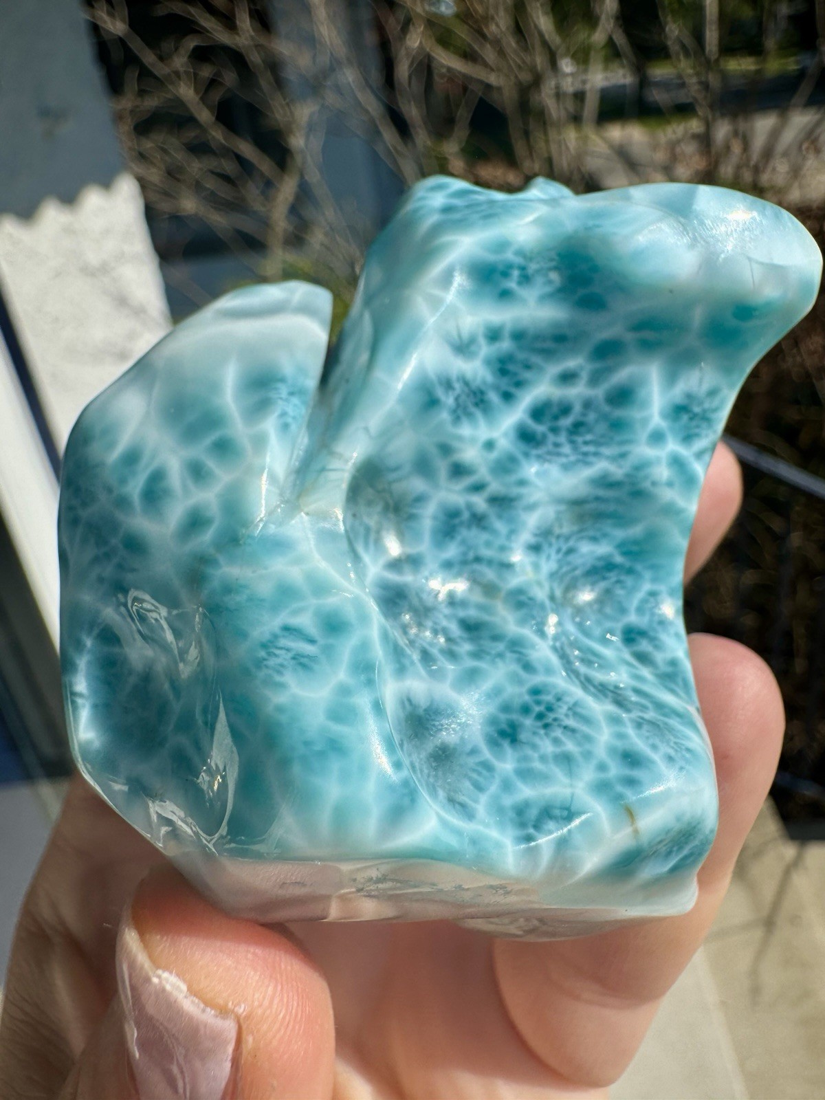 Incredible AAA Grade Turtleback Polished Larimar 237 Grams