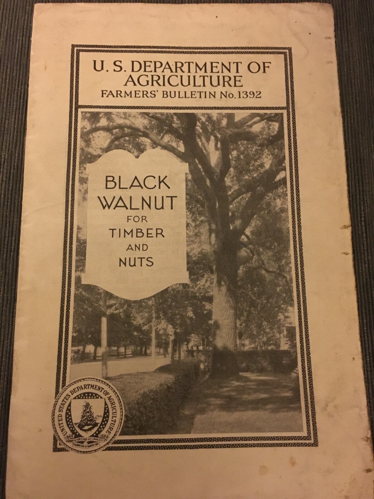 Black Walnut for Timber and Nuts #1392  USDA 1933