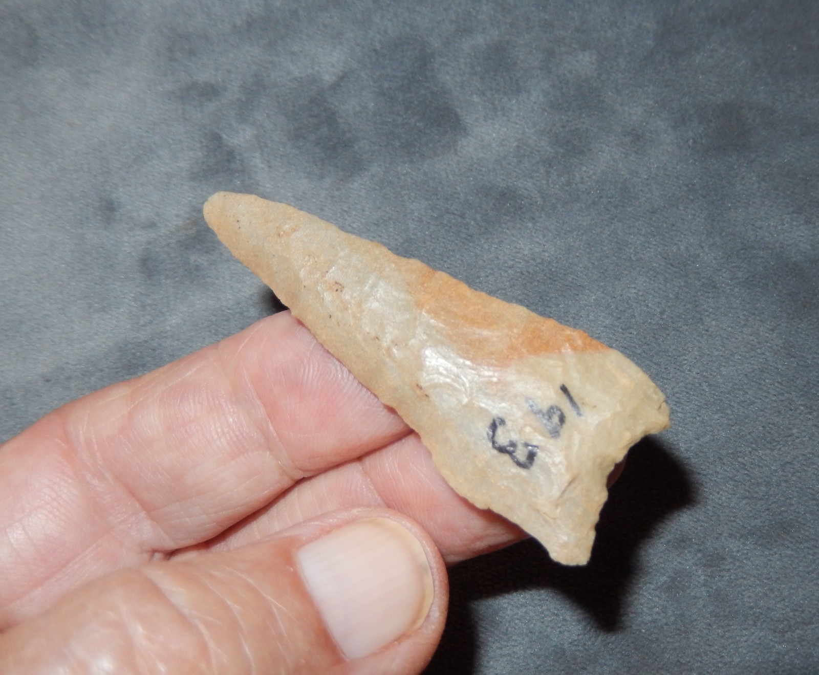 A VERY NICELY WORKED AND VERY PRETTY ARKANSAS FOUND DALTON POINT FOR YOU   N289