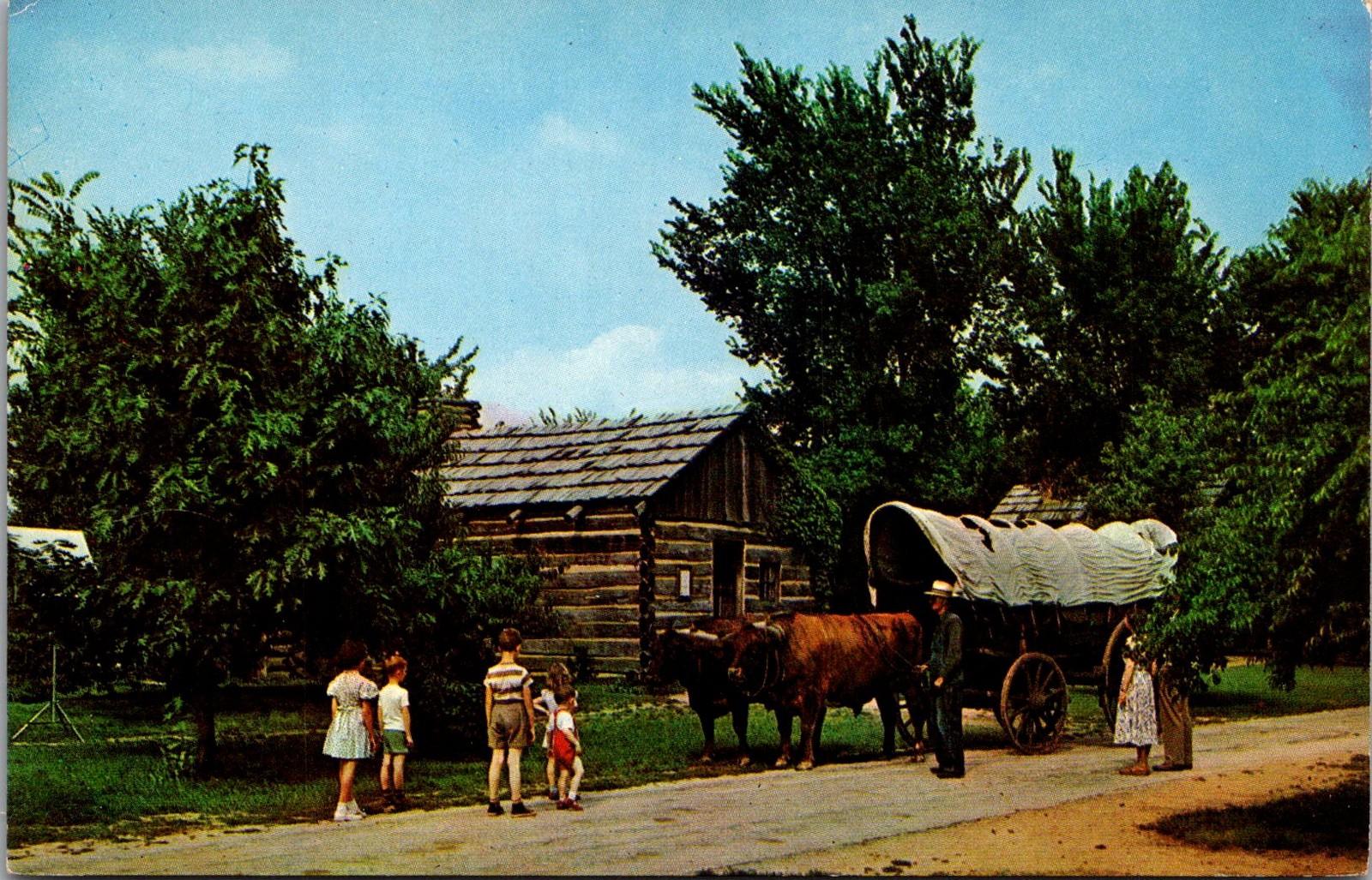 New Salem Illinois Ox Team & Conestoga Wagon Vintage Postcard 4P26-18 New Salem Illinois Ox Team & Conestoga Wagon Vintage Postcard 4P26-18