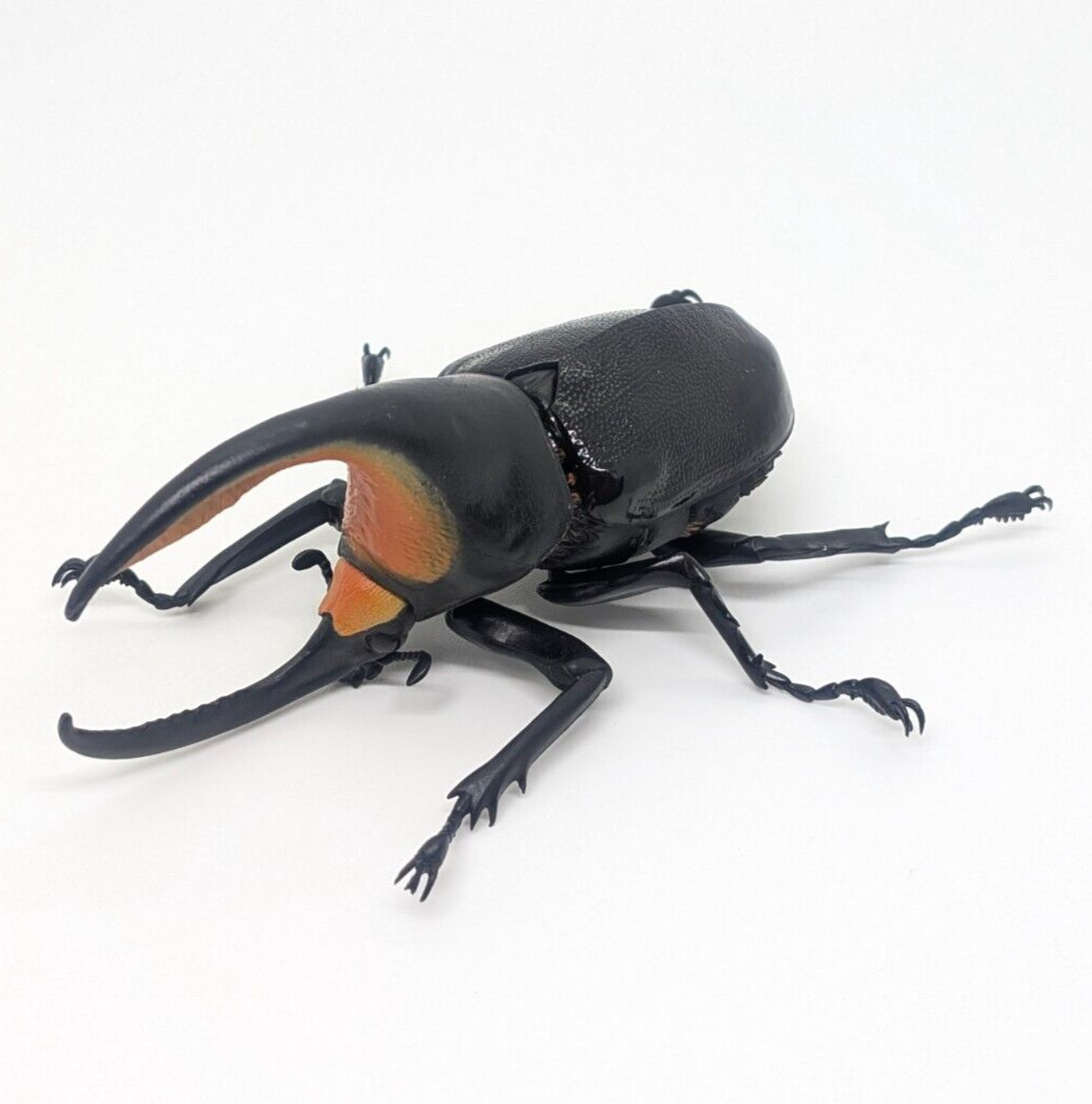 Bandai Gashapon Rhinoceros Beetle Big Realistic Insect Figure from JP Seller Bandai Gashapon Rhinoceros Beetle Big Realistic Insect Figure from JP Seller