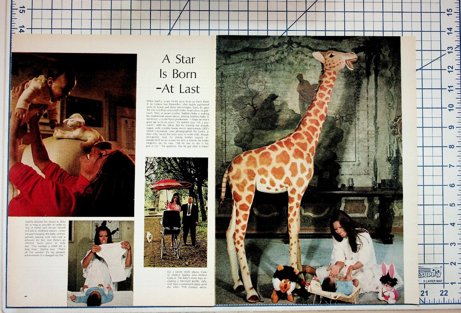 Sophia Loren & Carlo Ponti Jr. Life Magazine Article Giraffe Photo Ephemera Sophia Loren & Carlo Ponti Jr. Life Magazine Article Giraffe Photo Ephemera