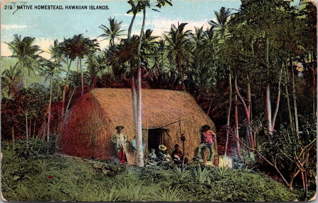 Postcard Native Homestead in the Hawaiian Islands
