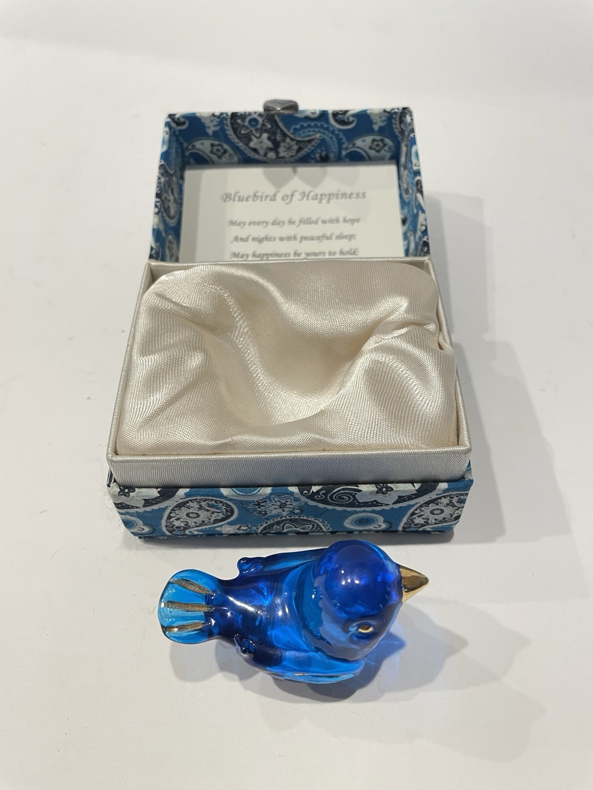 Glass Bluebird  \