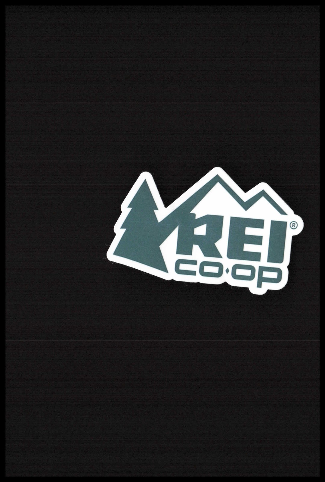New Genuine Authentic REI CO-OP Green Logo Emblem Decal Sticker 2025? New Genuine Authentic REI CO-OP Green Logo Emblem Decal Sticker 2025?
