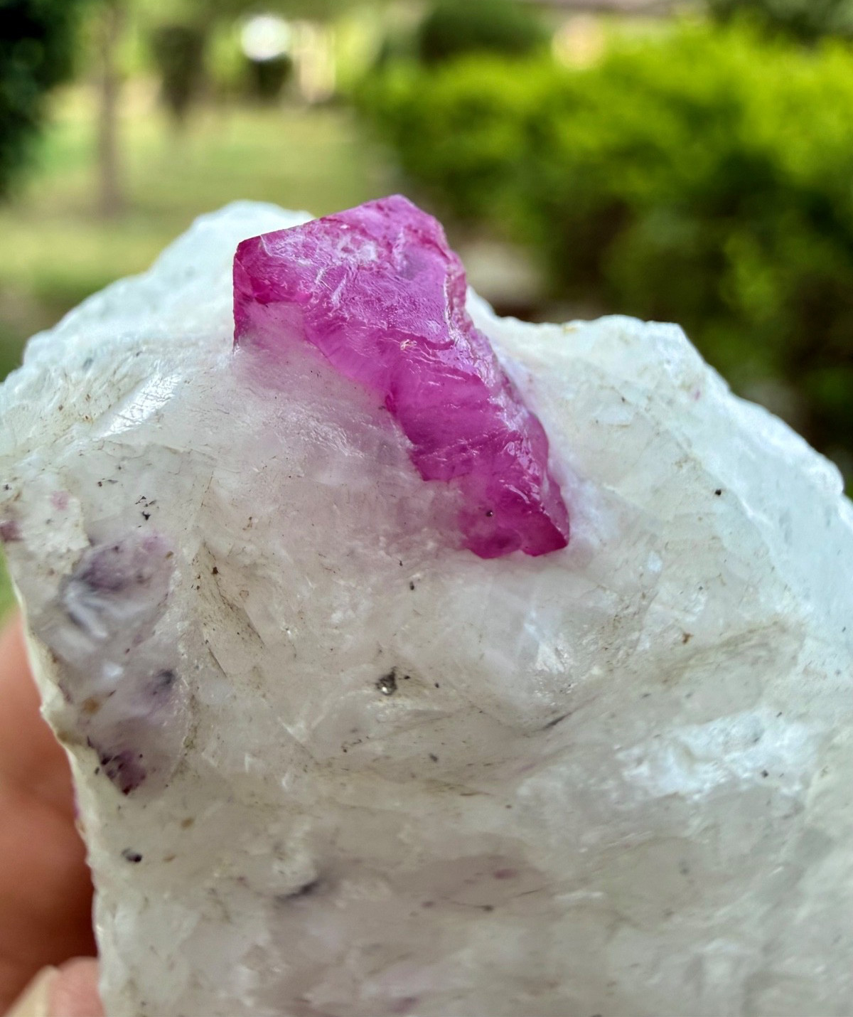 Natural Beautiful Top Quality Ruby with Combine Albit Specimen 420 Carats