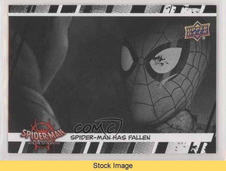 2022 Marvel Spider-Man: Into the Spider-Verse Spider PI Spider-Man #24 READ 1md