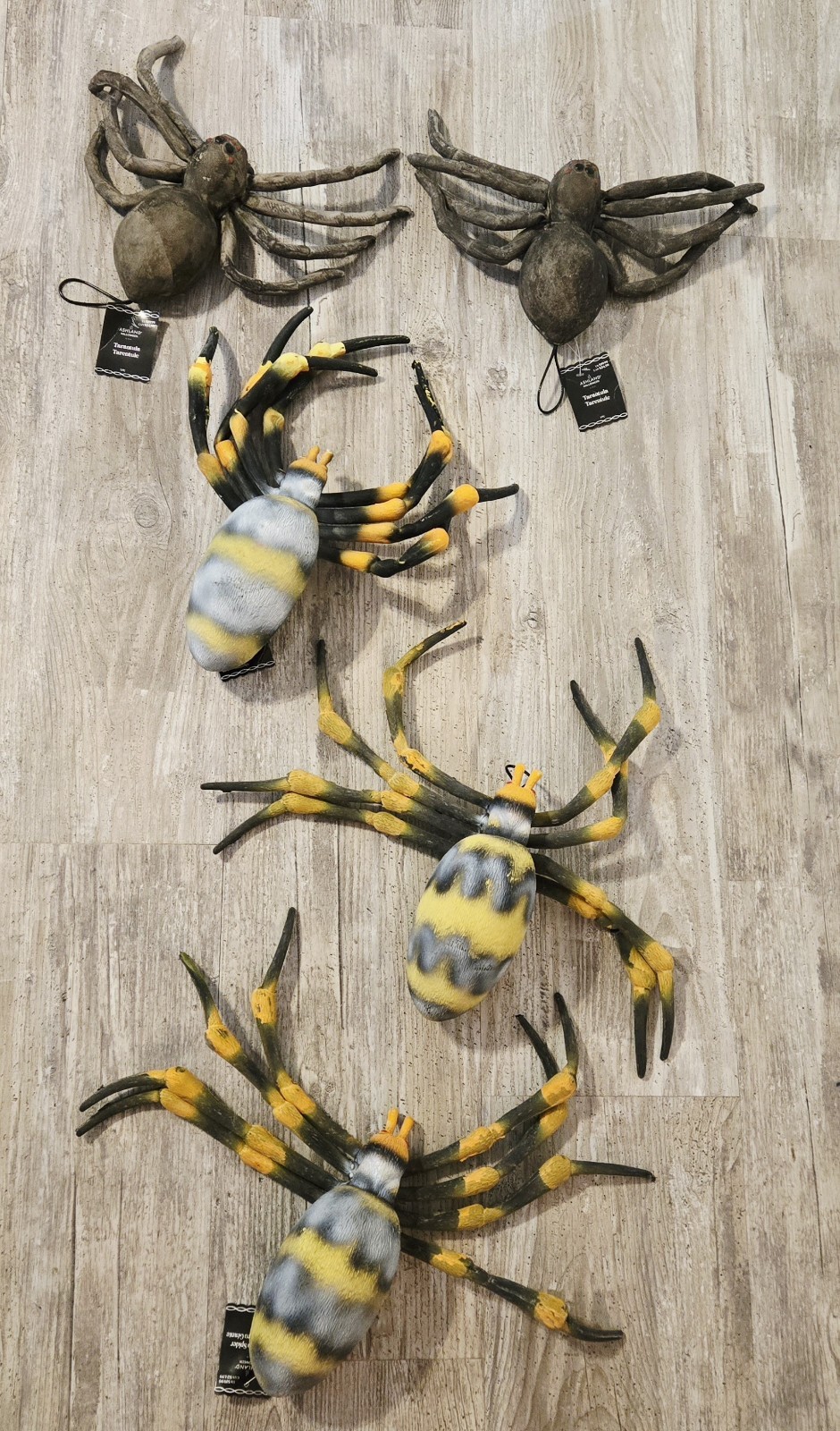 3 Giant Joro Spiders & 2 Tarantulas Ashland Halloween Rubber Decorations New