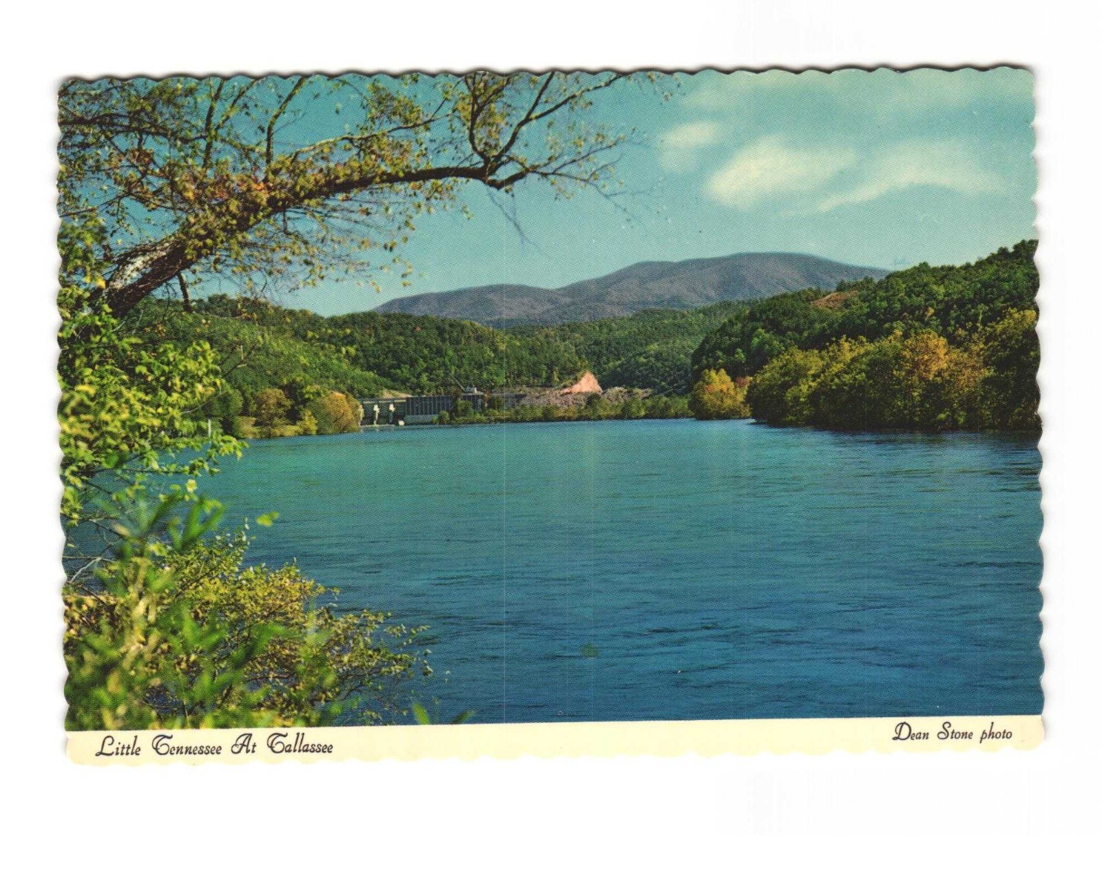Little Tennessee at Tallahassee, Vintage postcard unposted