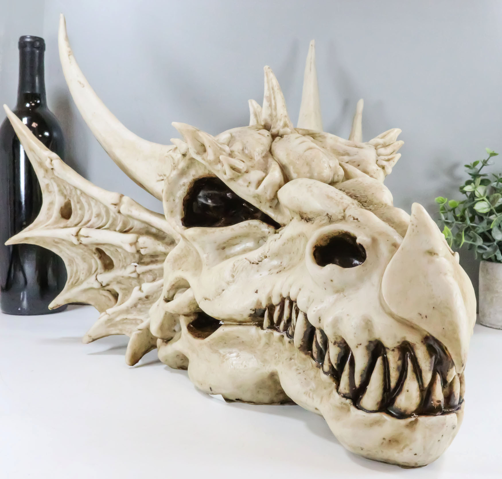 Large Elder Dragon Skull Statue Legendary Erathia Fossil Skeleton 18 Large Elder Dragon Skull Statue Legendary Erathia Fossil Skeleton 18