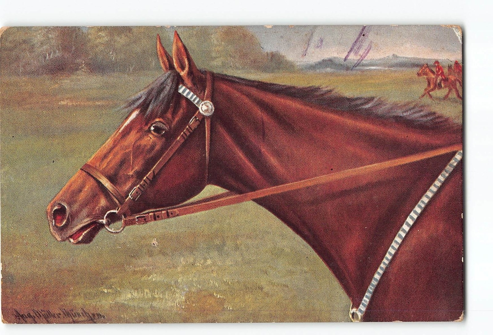 Horse Head Artist Signed Art Postcard 1907-1915