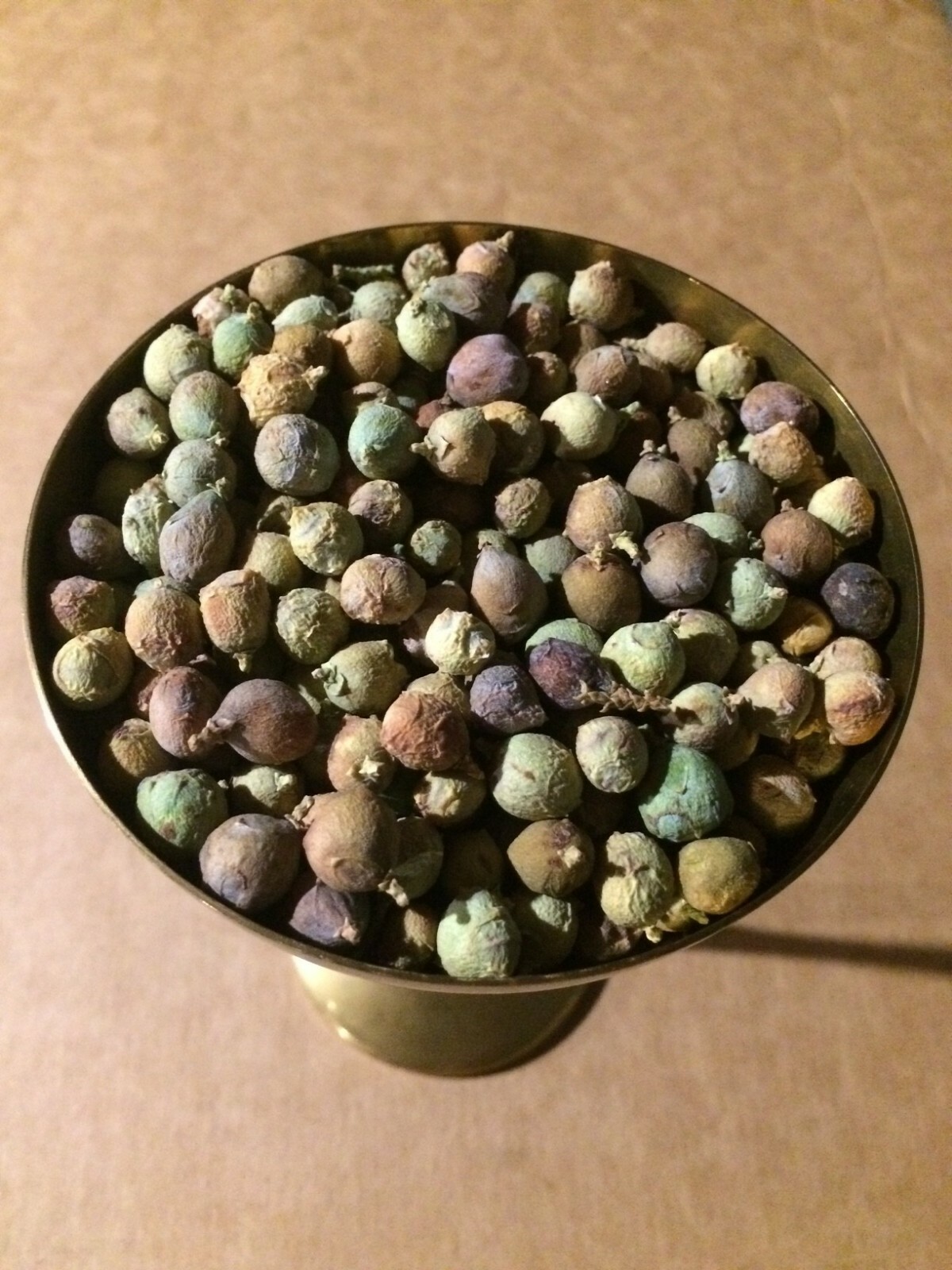 6 Ounces Of Dried Juniper Berries From East Arizona 6 Ounces Of Dried Juniper Berries From East Arizona