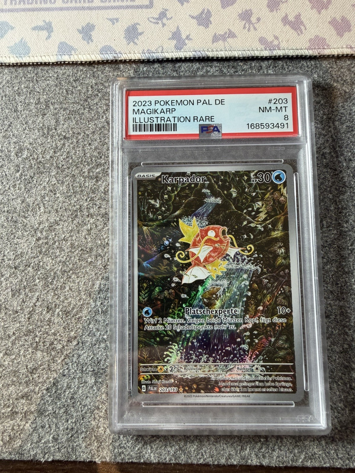 Pokemon TCG PSA 8 KARPADOR Evolutions in Paldea 203/193 - DE GERMAN Magikarp
