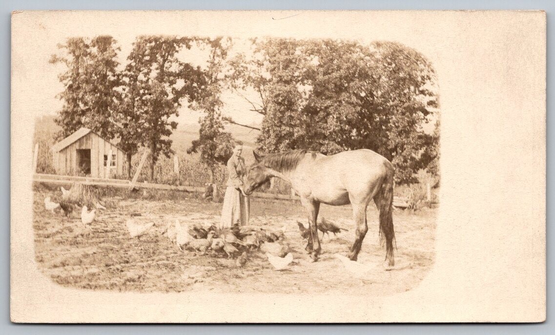 Postcard | Private Mailing Card RPPC Lady Feeding Horse & Chickens