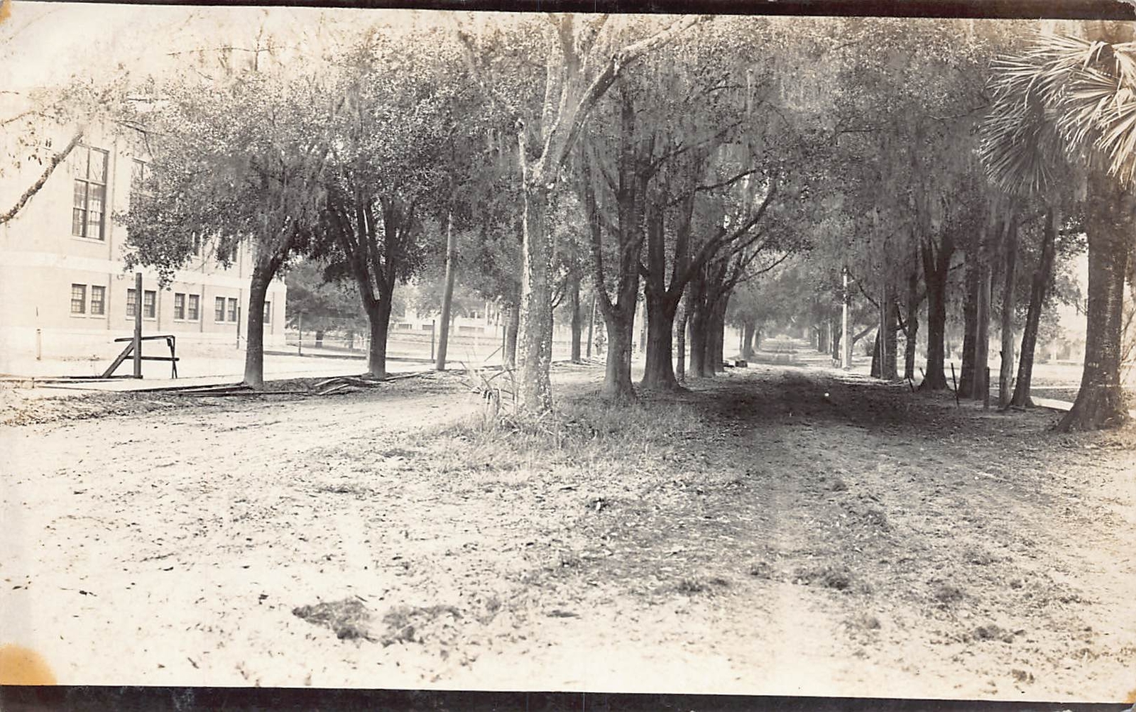 J79/ St Petersburg Florida RPPC Postcard c1910 Road Building Trees 112