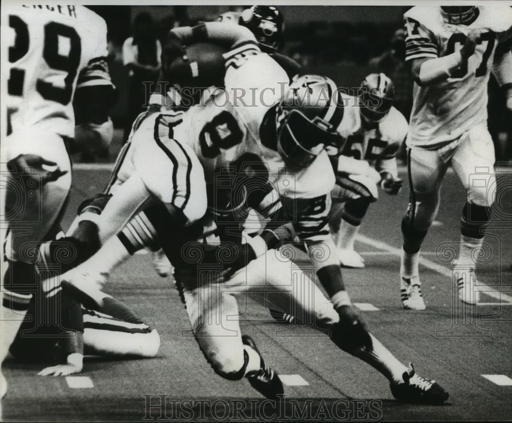 1977 Press Photo New Orleans Saints Football Player Gil Chapman - nos07098 1977 Press Photo New Orleans Saints Football Player Gil Chapman - nos07098