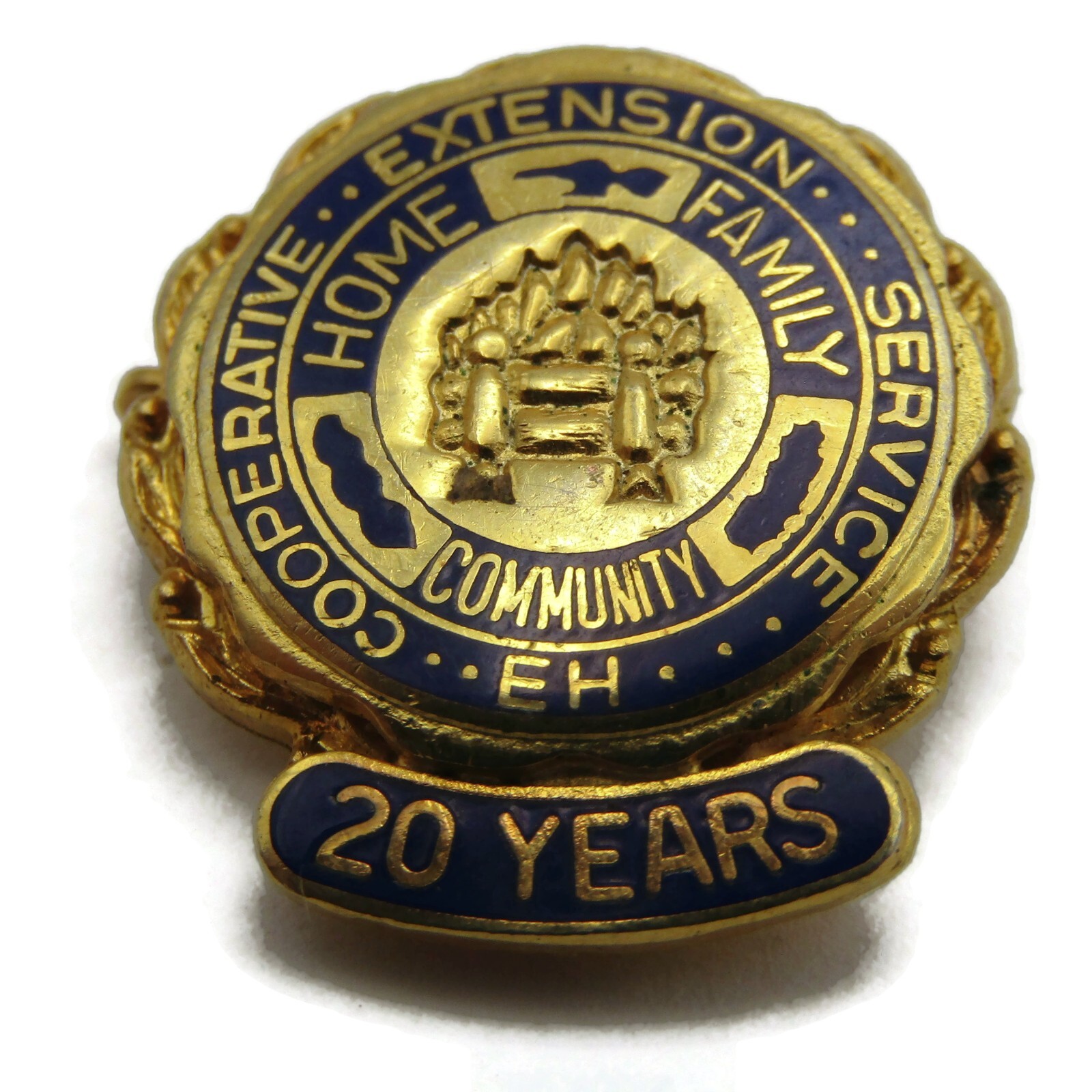 Vintage Cooperative Extension Service 20 Years Award Pin EH Gold Tone Blue