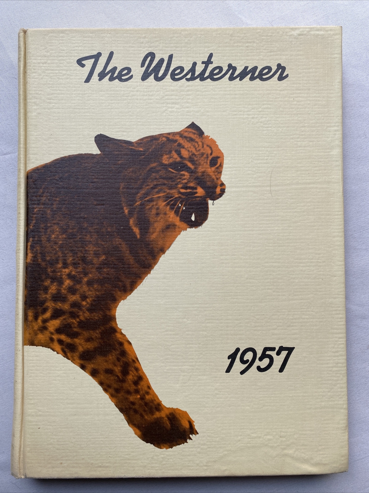 Westerner 1957 San Angelo Central High School Yearbook Westerner 1957 San Angelo Central High School Yearbook