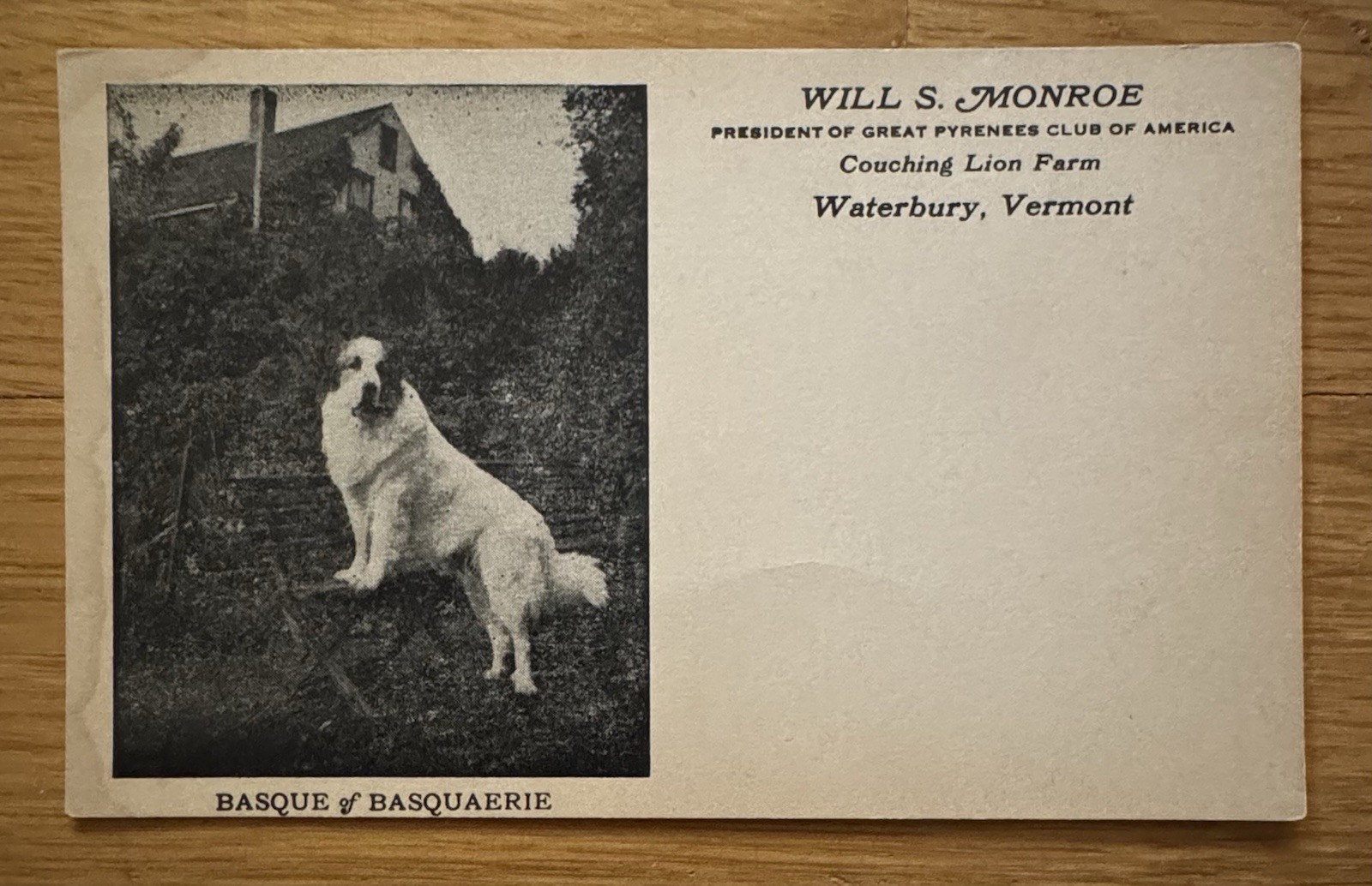 Scarce 1920s Card Waterbury Vermont Great Pyrenees Dog Club Basque of Basquaerie Scarce 1920s Card Waterbury Vermont Great Pyrenees Dog Club Basque of Basquaerie