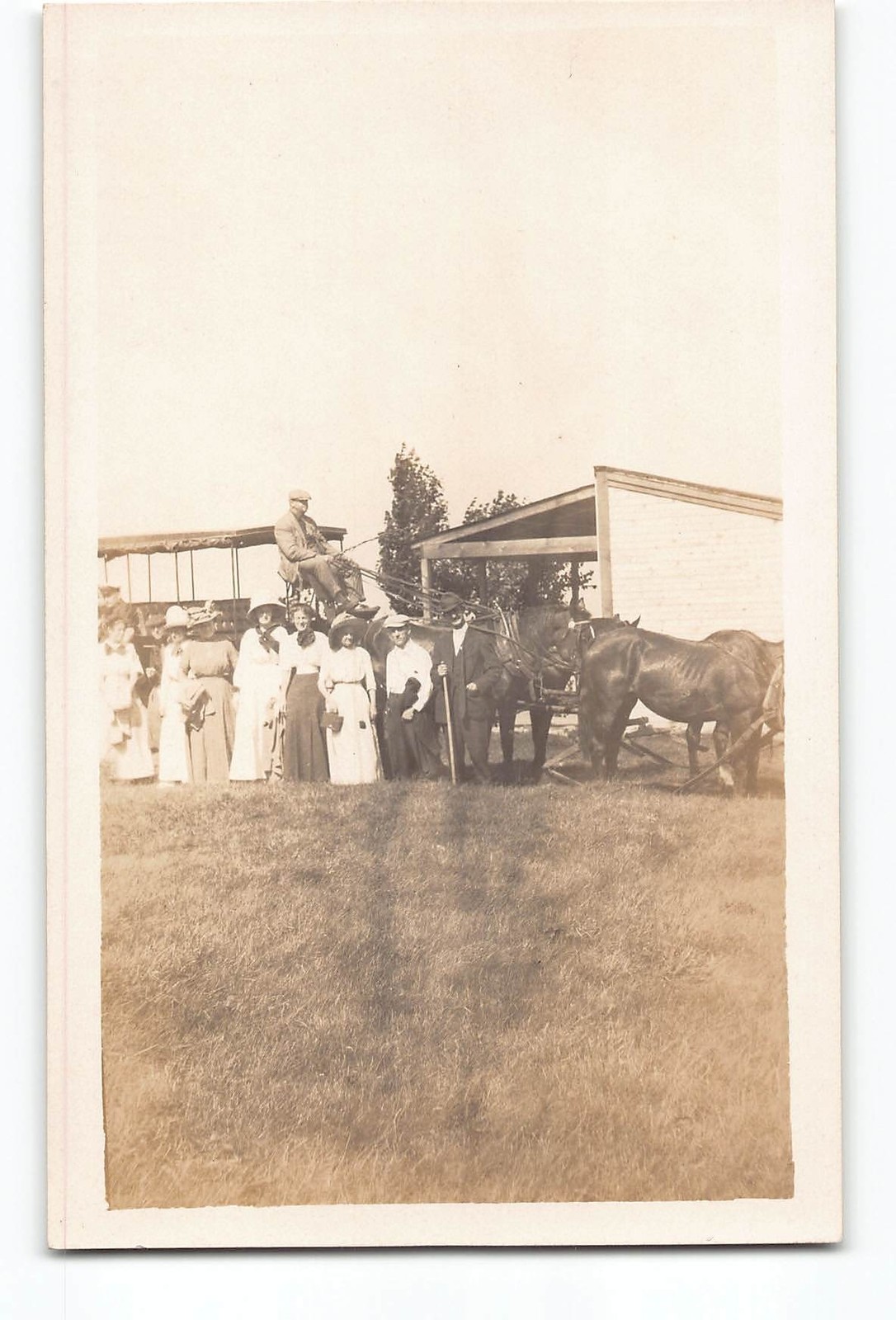 Group With Horse-Drawn Carriage And Horses RPPC Real Photo 1907-1920s