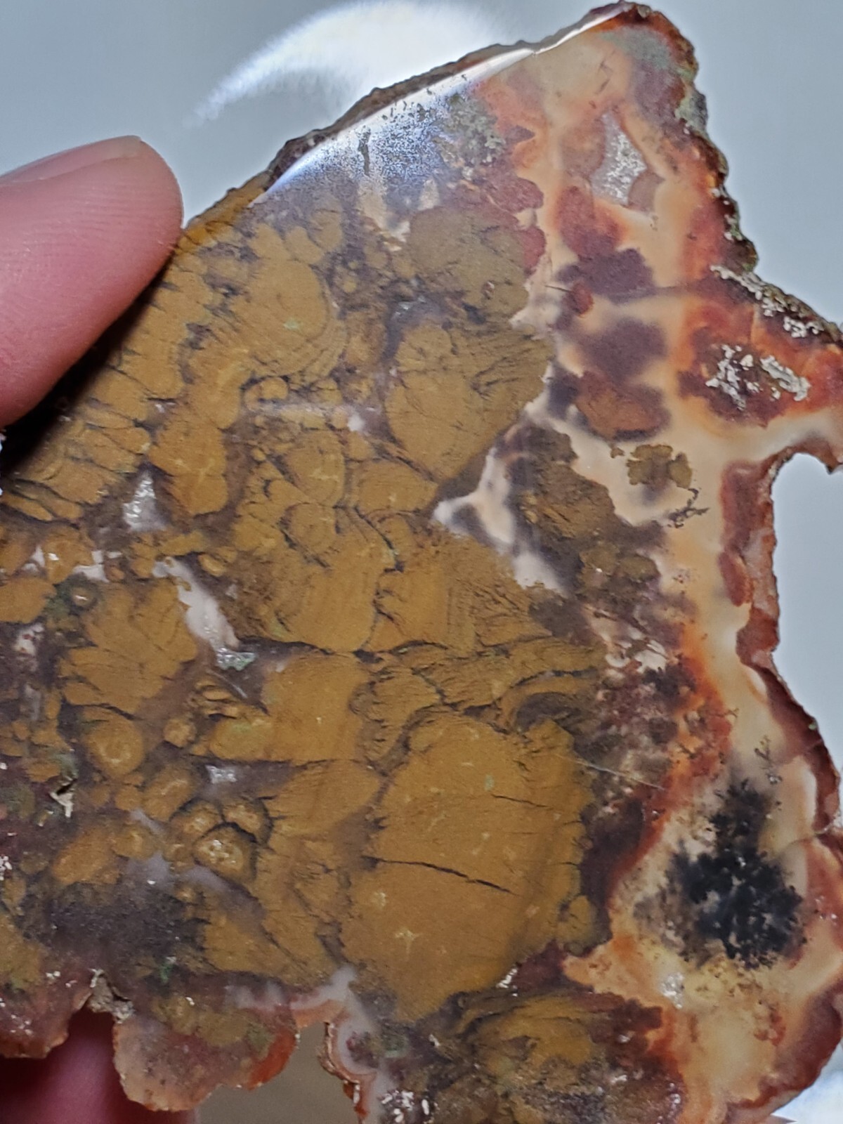 Nepomo Nipomo Marcasite In Agate Polished Slab 36g California Lapidary Gemstone 