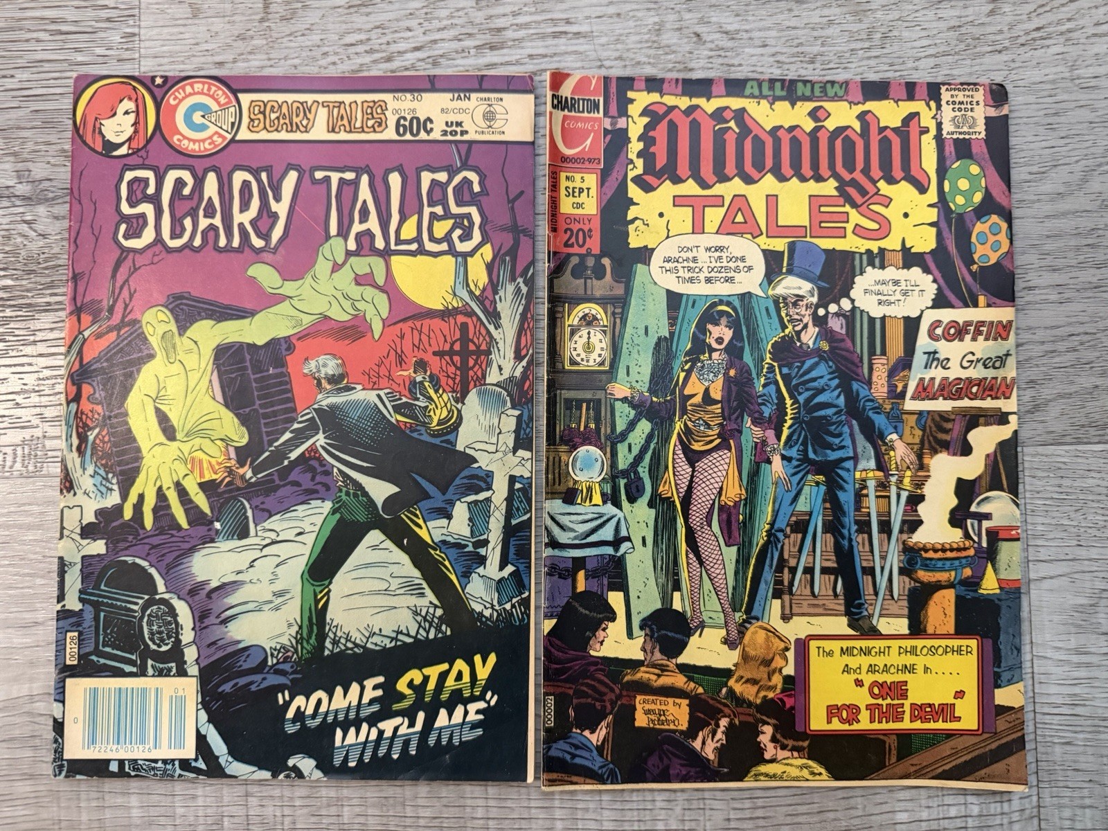 Charlton Horror Comics Lot of 2 Midnight Tales #5 Scary Tales #30 Vintage