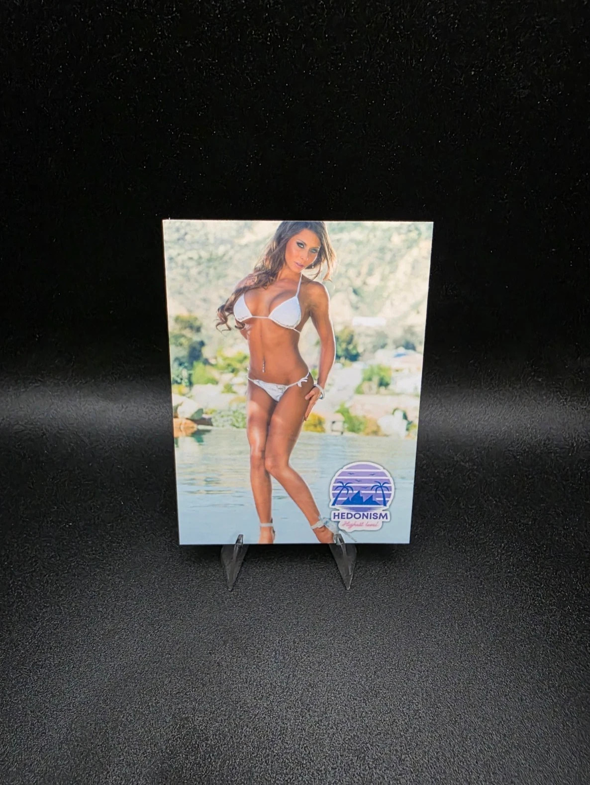 Madison Ivy #1 Hedonism Series eXcess Collectibles Custom Card Variant