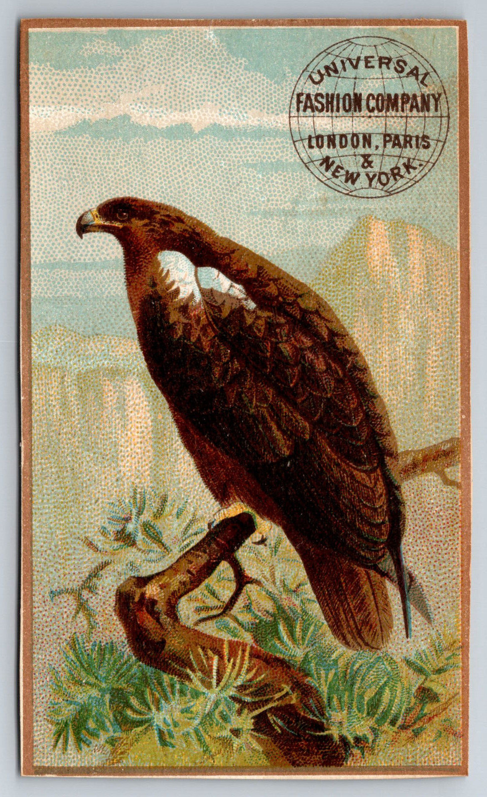 1890s Victorian Trade Card NY Essex County Sewing Machine Hawk Bird ~4818