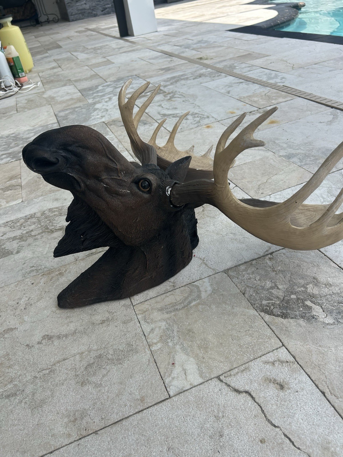 Small Faux Moose Head Wall Mount with Antlers, Rustic Cabin Decor Small Faux Moose Head Wall Mount with Antlers, Rustic Cabin Decor