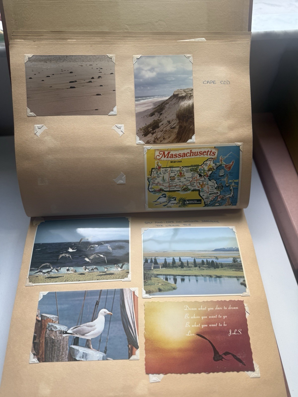 Vintage USA Travel Photo Album 300+ Photos Postcards Road Trip Ephemera