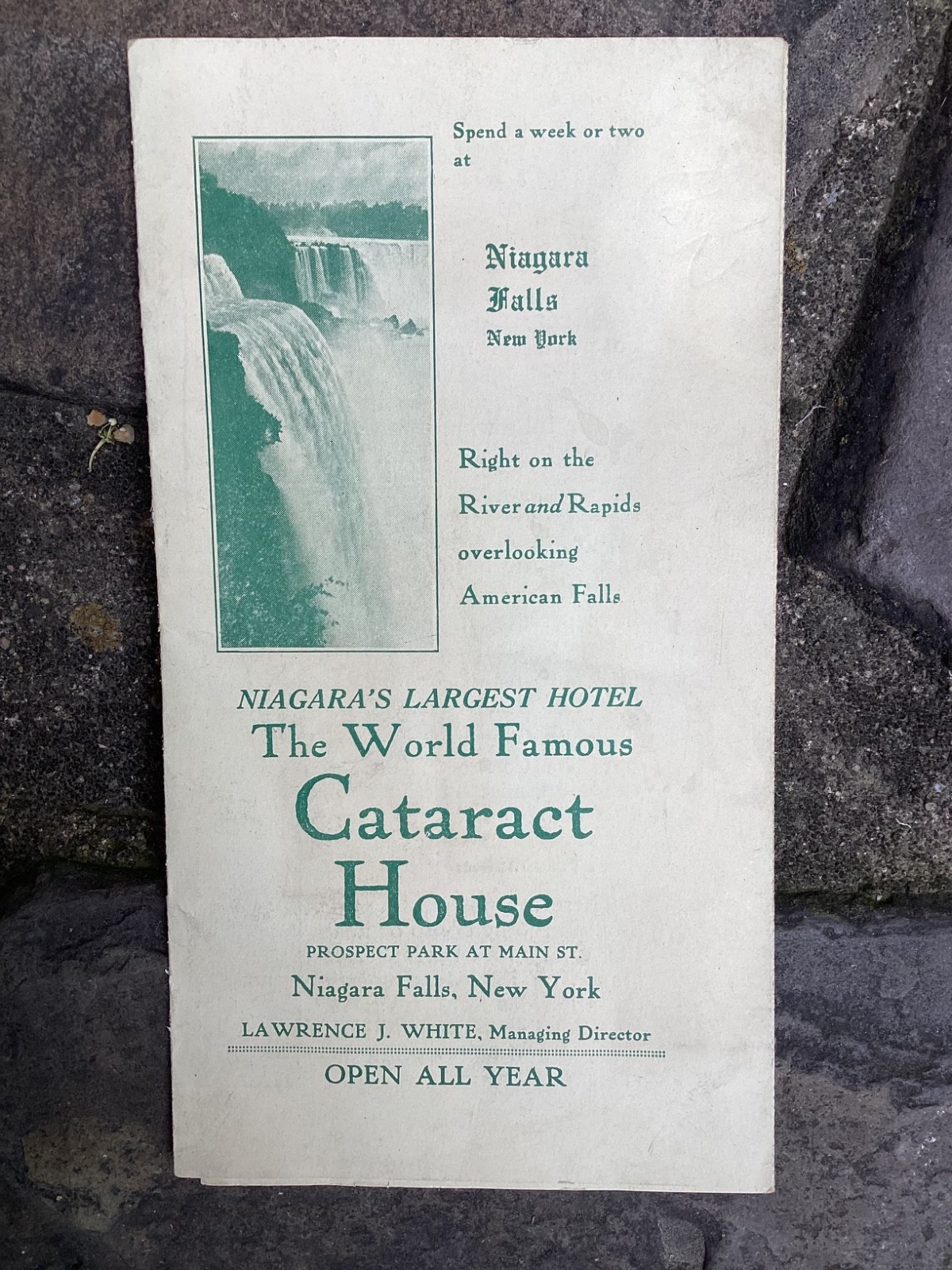 Rare Vintage Original Cataract House Hotel Niagara Falls New York Brochure Rare Vintage Original Cataract House Hotel Niagara Falls New York Brochure