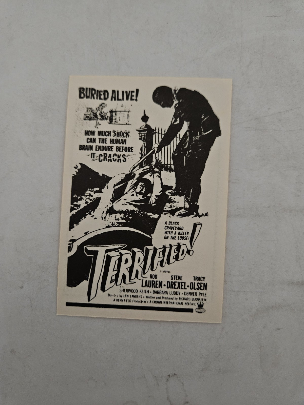 Hot Schlock Trading Cards Terrified 1991