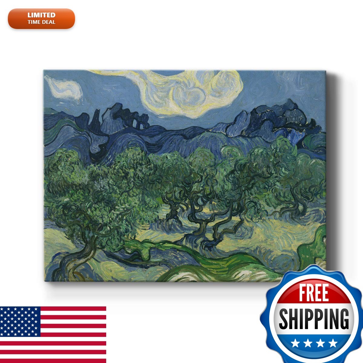 Renditions Gallery Olive Trees by Vincent Van Gogh Canvas Print 30x40 in Ready