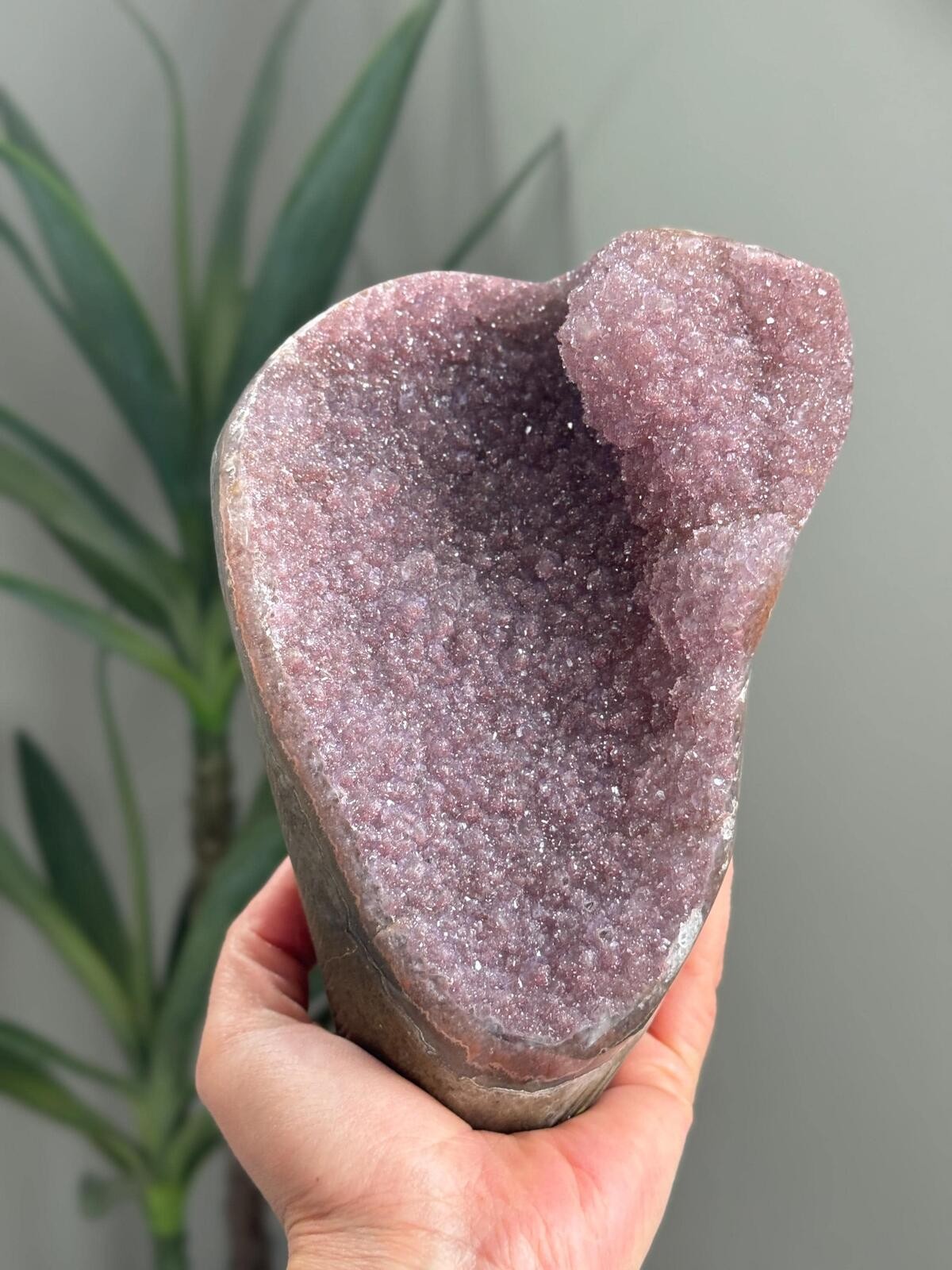 Rainbow Galaxy Amethyst Crystal Cluster Druzy Geode Standing Amethyst Uruguay 28