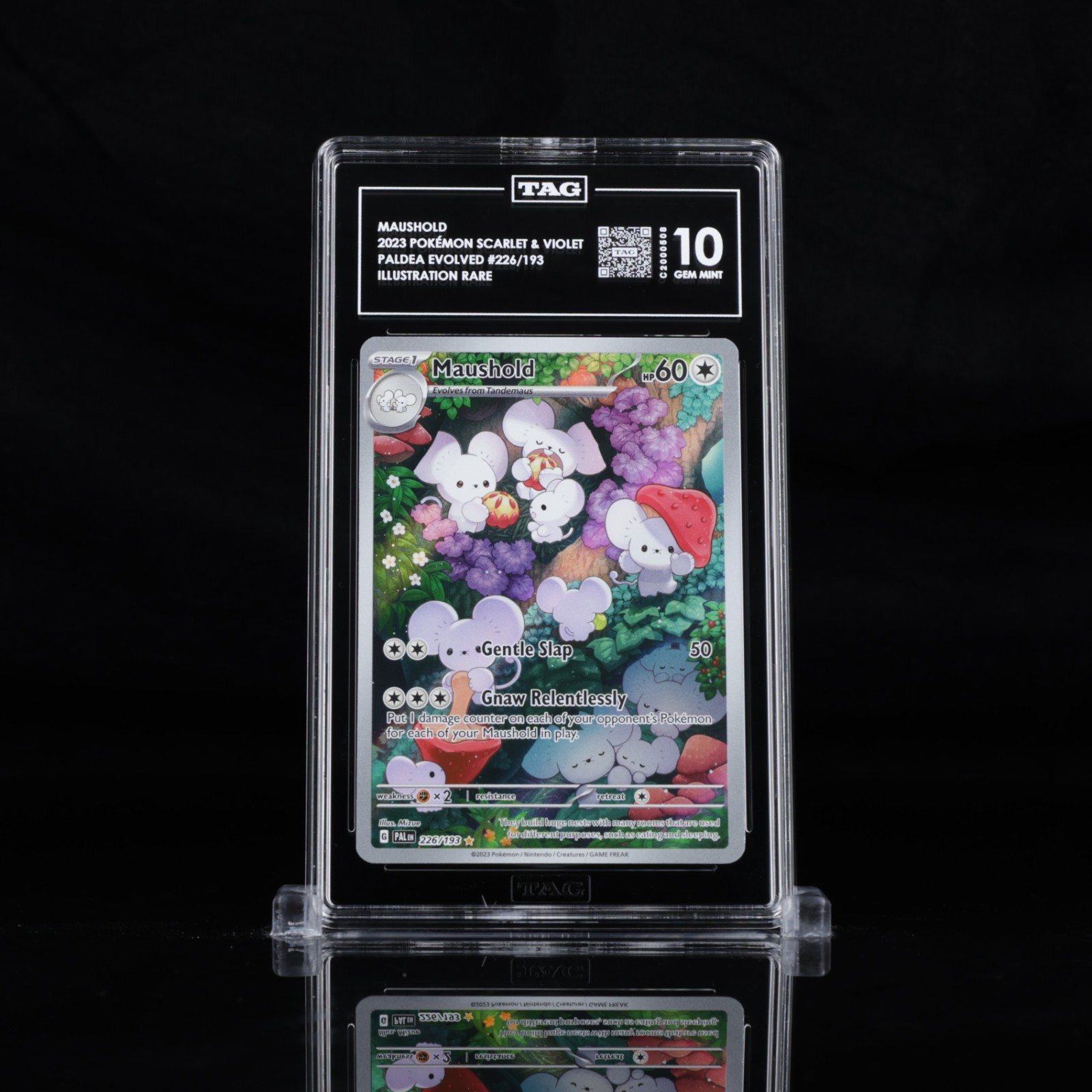 TAG 10 MAUSHOLD #226/193 2023 POKÉMON SCARLET & VIOLET PALDEA EVOLVED