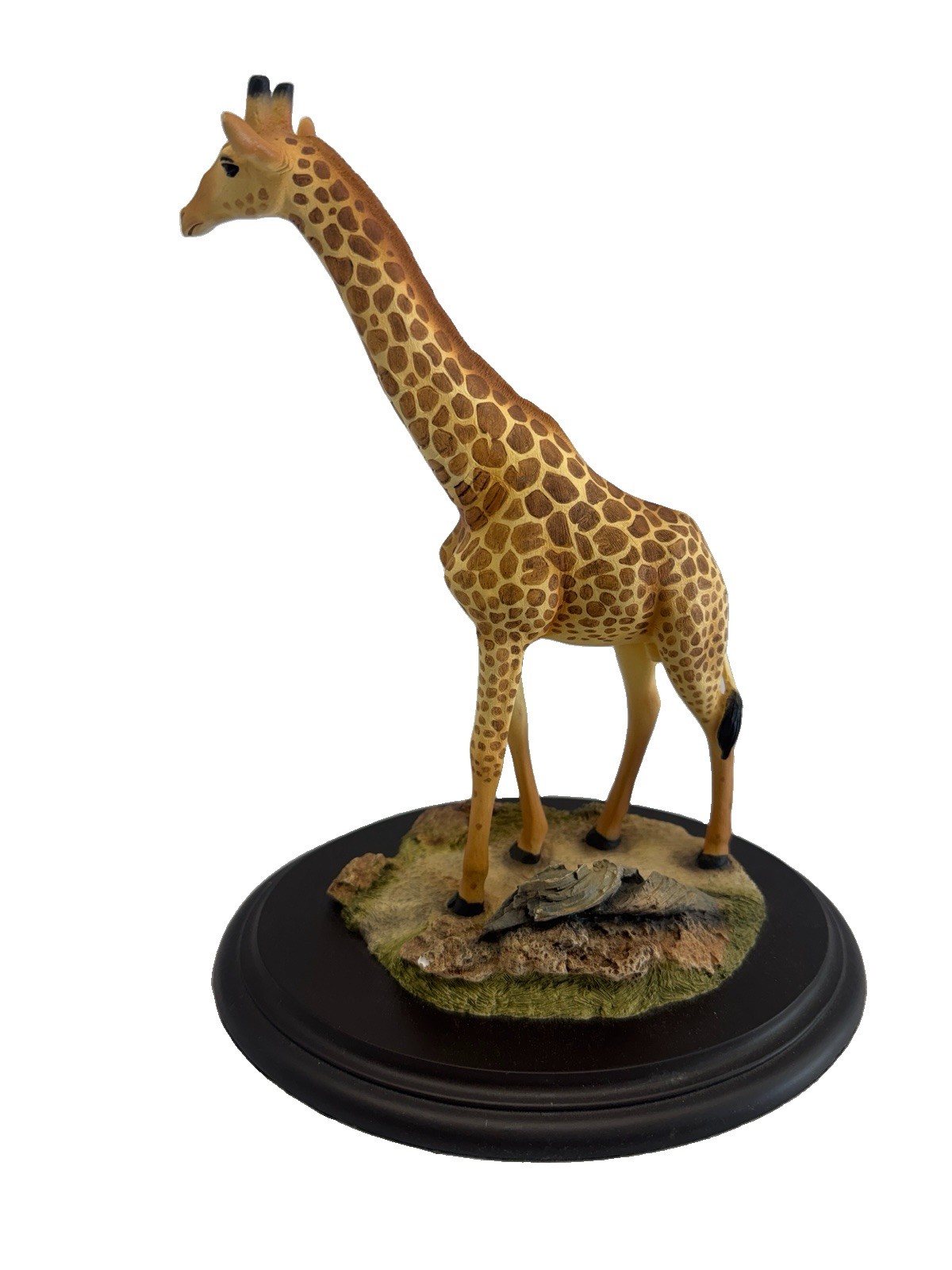 Feathers of Knysna GIRAFFE Hand Carved Limited Edition SKU# 482/5000 Collector's Feathers of Knysna GIRAFFE Hand Carved Limited Edition SKU# 482/5000 Collector's