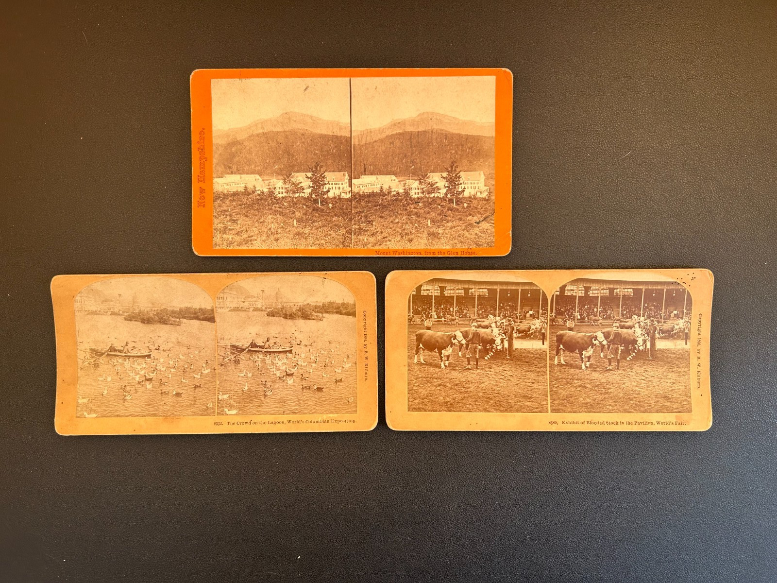 Antique Stereo View Cards. Lot of 3. Antique Dialer Inventory Liquidation.