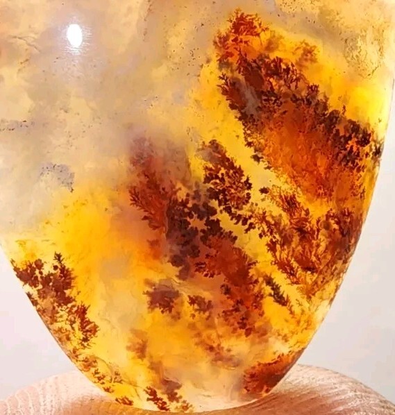 Carey Plume Agate - Beautiful High Quality CAB rare Old Stock From Oregon (12g)