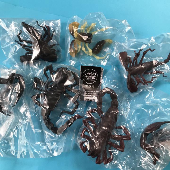 Bandai Gashapon Figure Encyclopedia of Living Creatures Scorpions Complete Set