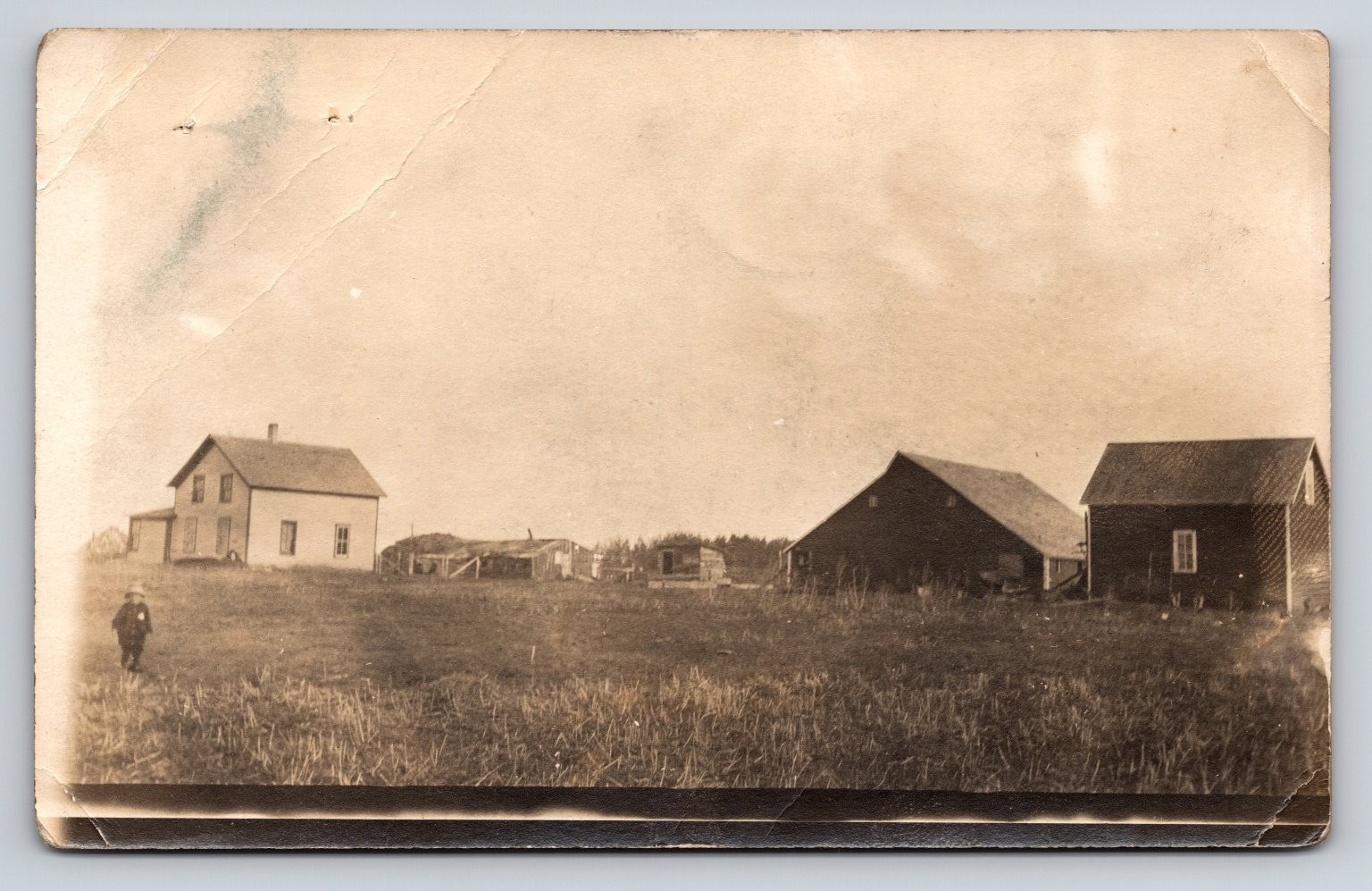 Vintage Real Photo Postcard Early 1900s Rural Farm Scene with Child