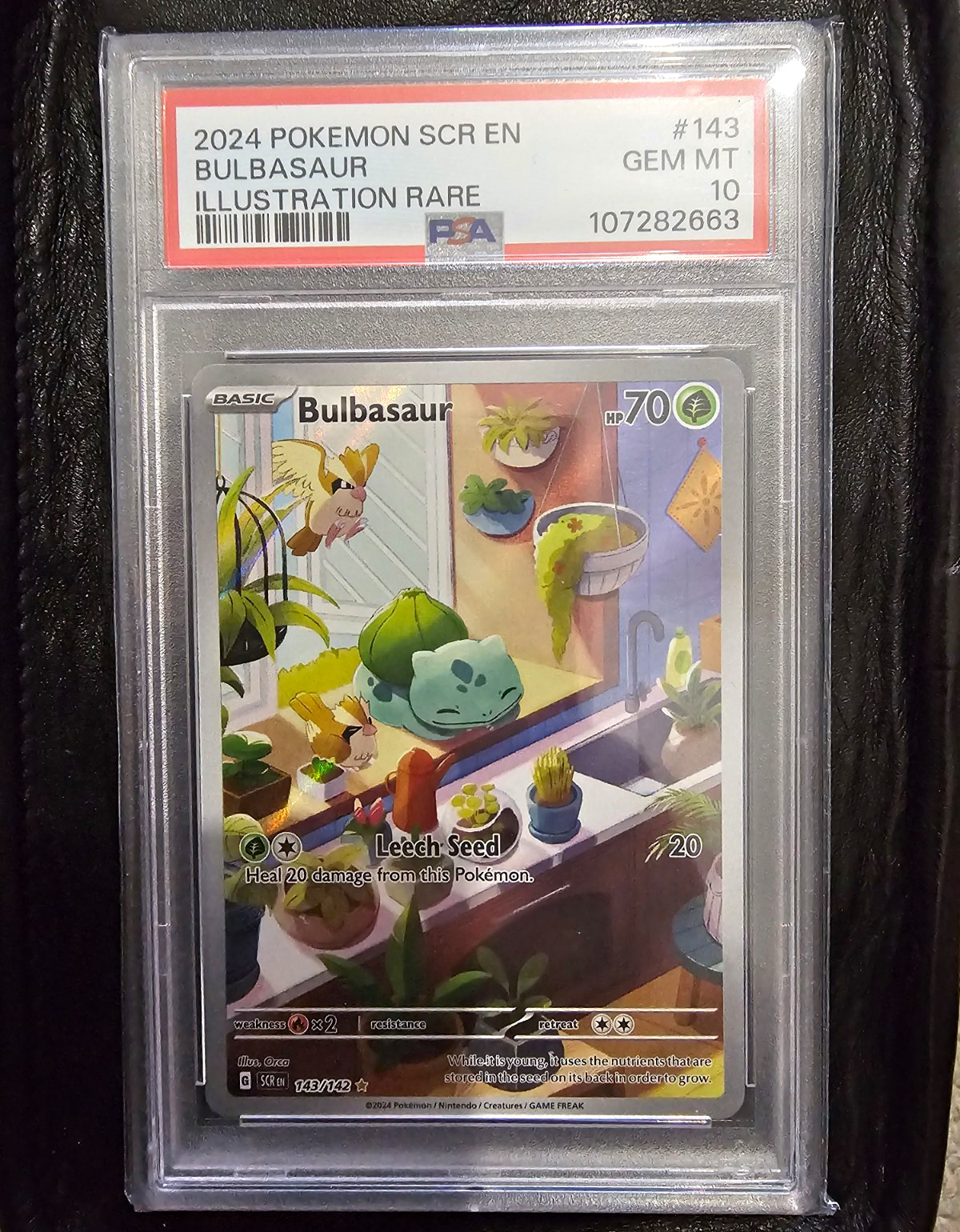 Pokemon Bulbasaur 143/142 Stellar Crown Illustration Rare PSA 10 Gem Mint