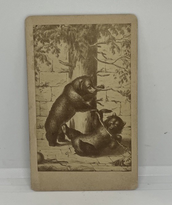 Antique CDV Bern Barengraben Bear Pit Switzerland Souvenir Photo Card 1870s Vtg