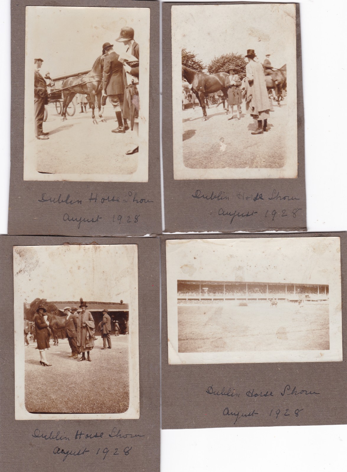 Five Antique c1928 Photographs Of Dublin Horse Show Ballsbridge Equine Interest Five Antique c1928 Photographs Of Dublin Horse Show Ballsbridge Equine Interest