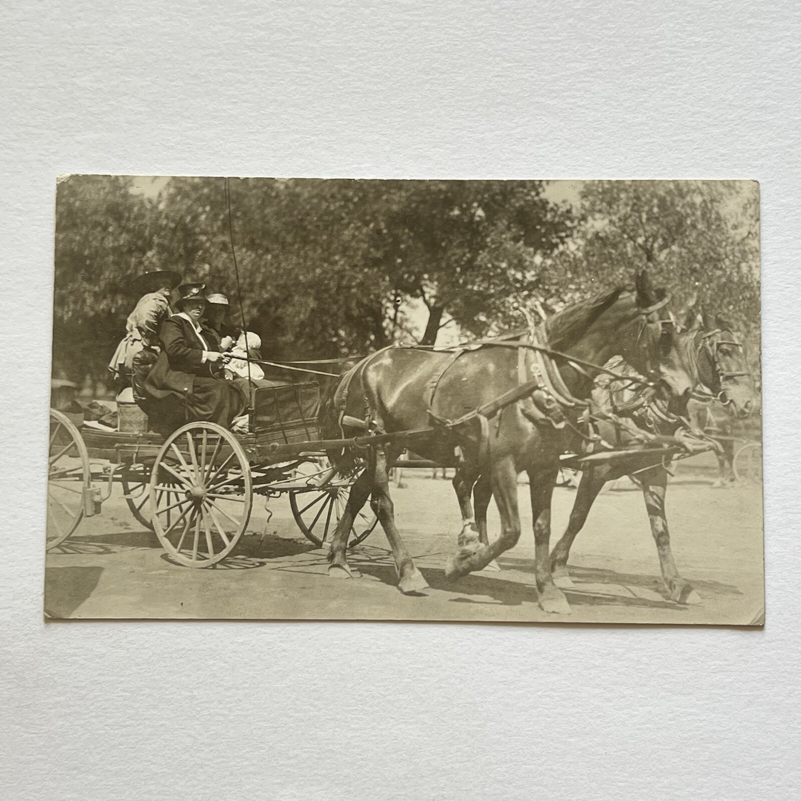 Antique RPPC Real Postcard Photograph Women Horse Drawn Wagon Outdoors Nature